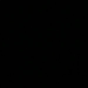 Meet your Posher, Gianna